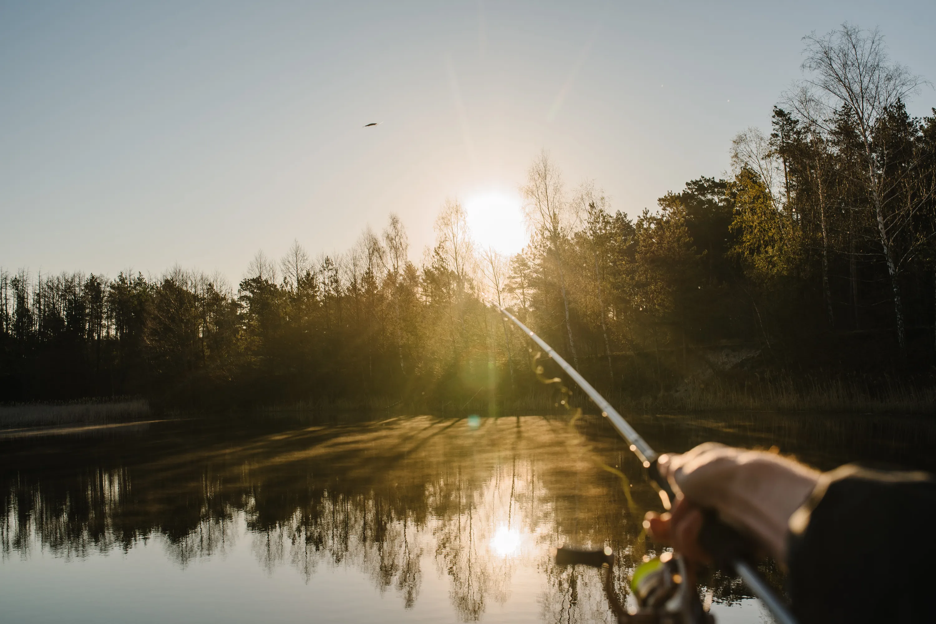 A first-person perspective shows a hand holding a fishing rod over a calm lake at sunrise or sunset. Golden sunlight bursts from the horizon, illuminating a dense forest of pine and bare trees on the far bank, which are reflected in the water. Long shadows and sunbeams stretch across the misty water surface. A small dark bird flies in the pale blue sky above the trees.
