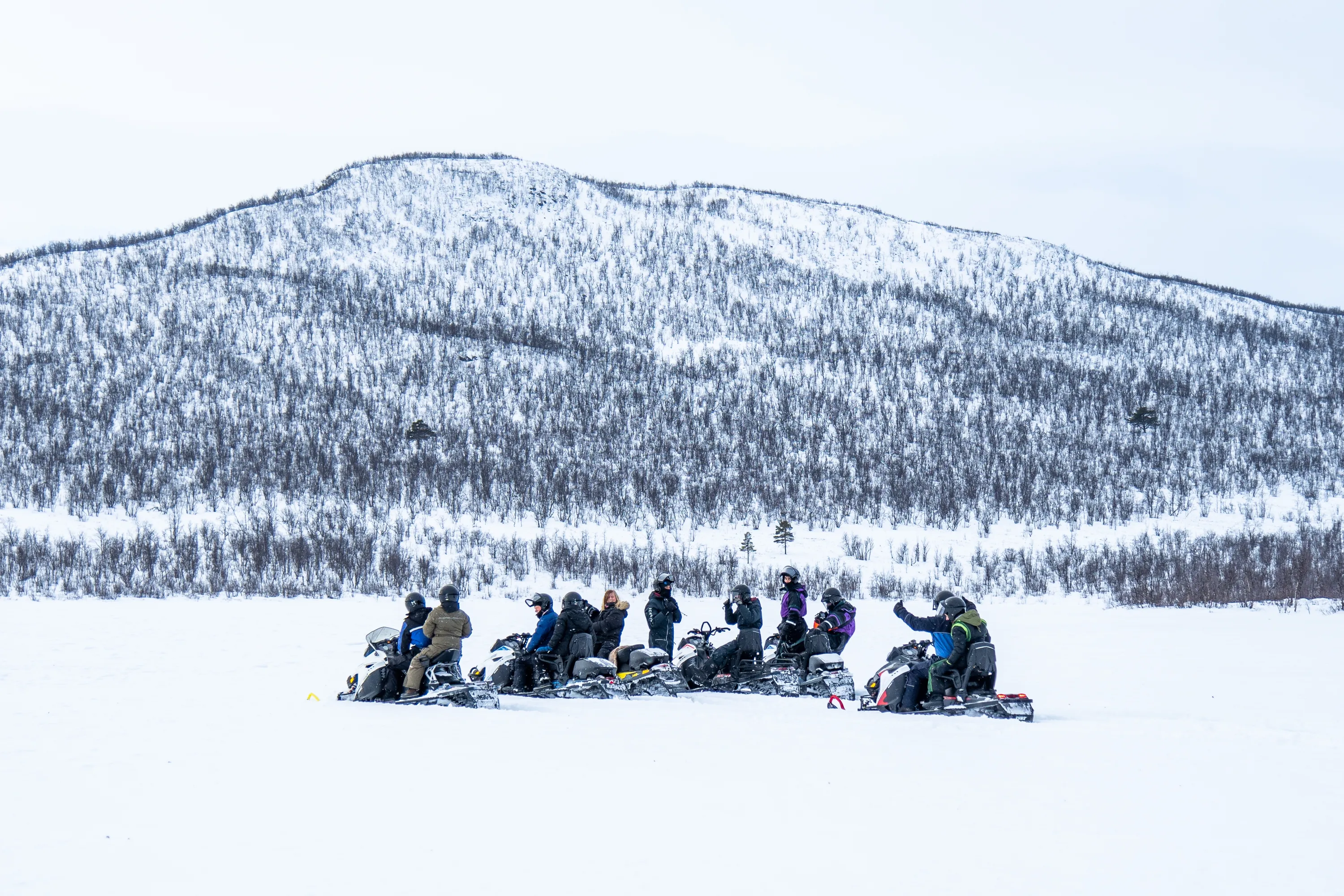A group of people on snowmobiles are gathered on a vast snow-covered plain. Behind them, a large mountain covered in dense, dark, bare trees and snow stretches across the horizon under a bright, overcast sky. The individuals wear helmets and winter clothing, with some looking towards the mountain and others interacting.