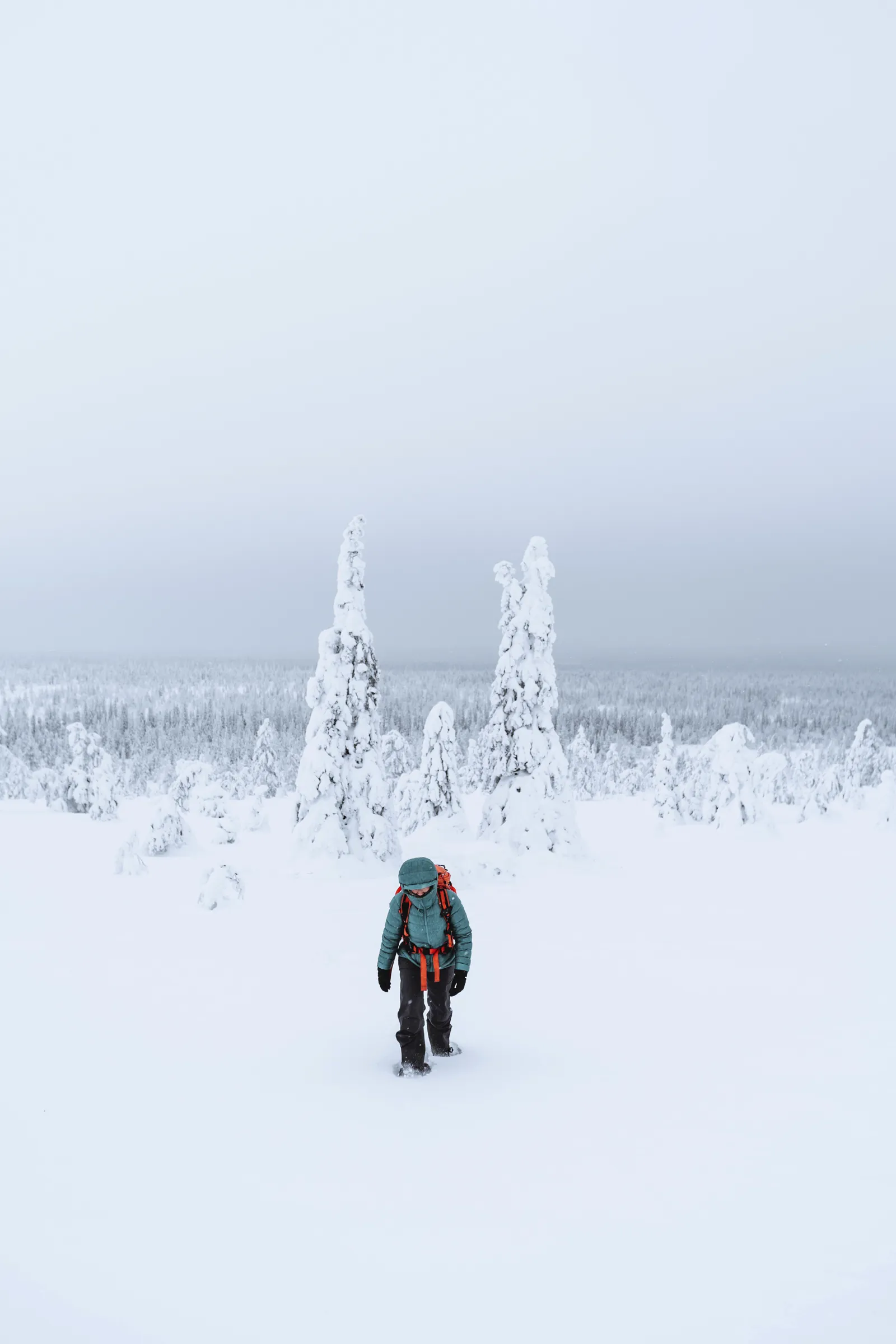 A person wearing a teal jacket and an orange backpack walks through a vast, pristine snowfield. Tall, heavily snow-covered trees rise from the deep white snow, with a dense forest stretching to the distant, overcast horizon.