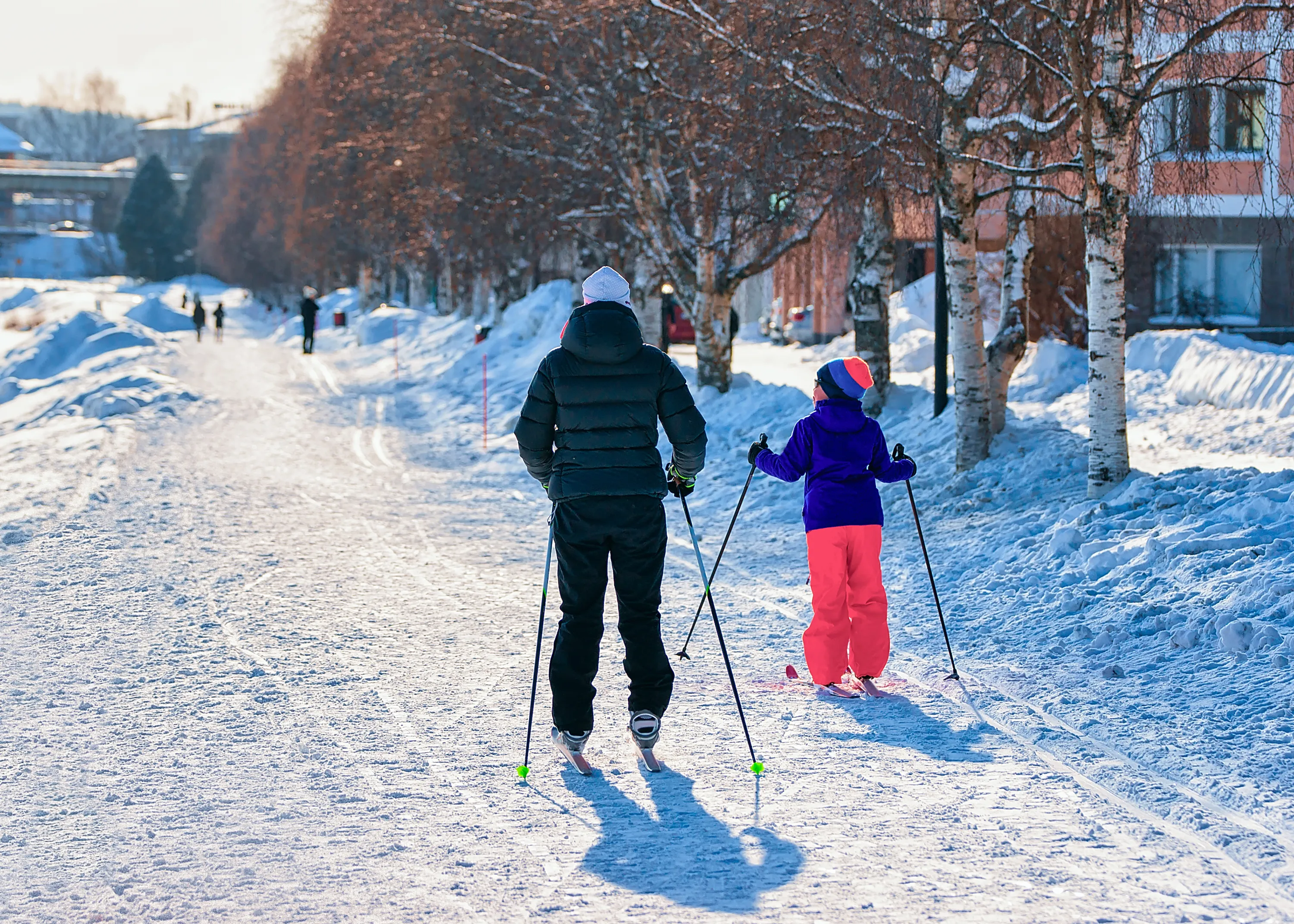 An adult and a child cross-country ski on a sunny winter day, moving away from the viewer on a snow-covered path. The adult wears a black puffer jacket and pants with a light grey beanie, while the child has a vibrant purple jacket, bright coral pants, and a blue, orange, and pink beanie. Long shadows stretch across the textured snow, which features clear ski tracks. Bare trees with reddish-brown branches line the path, and white birch trees stand closer to the right. In the background, snowbanks, distant buildings, and a bridge are visible under a bright sky.
