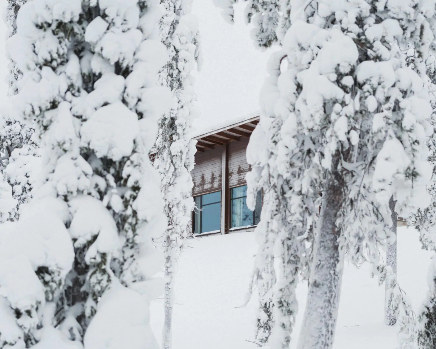 A serene winter landscape showcases a light brown wooden house with two blue-tinted windows, framed by heavily snow-laden evergreen trees. The entire scene is blanketed in thick, pristine white snow, with soft, diffused daylight illuminating the tranquil environment.